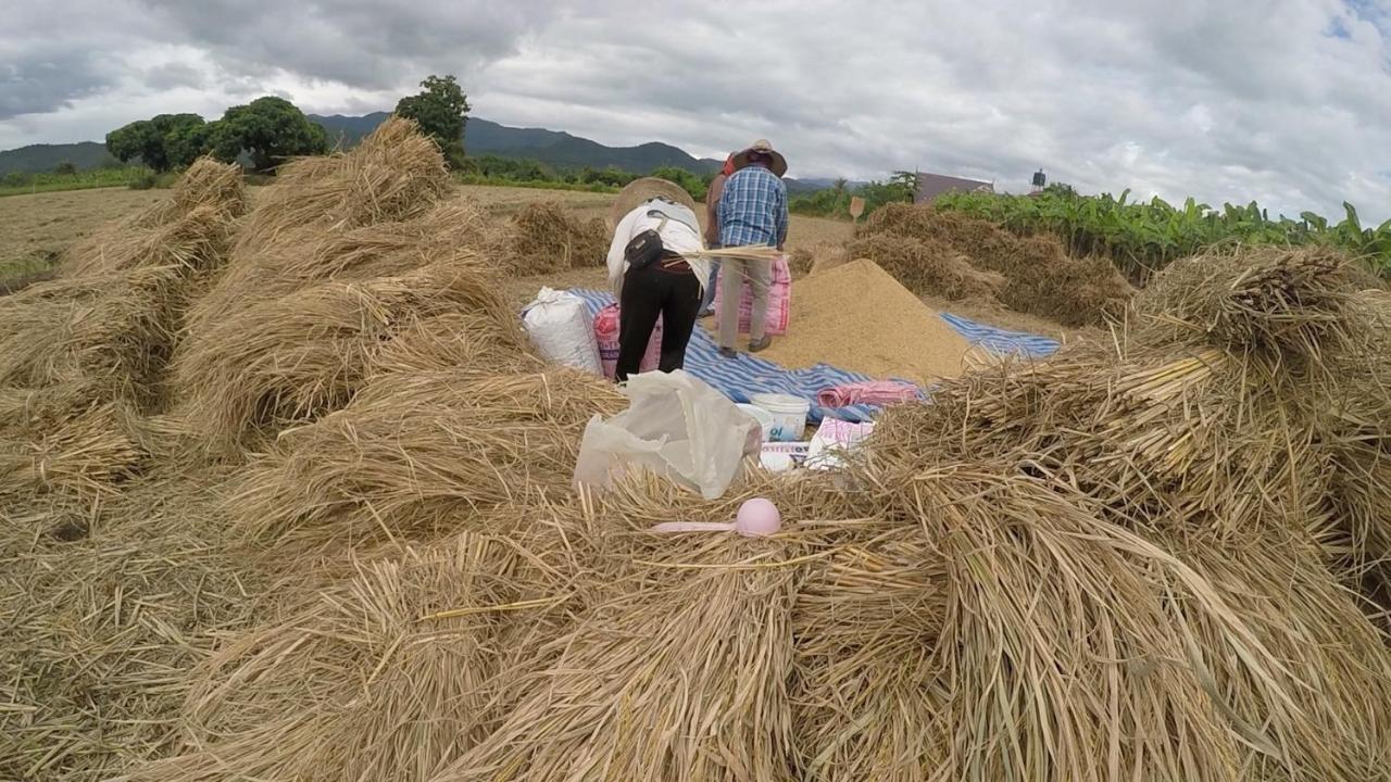 Ban Khang Hong TaiHello Countryside住宿加早餐旅馆 外观 照片